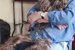 IMG-20240217-WA0004